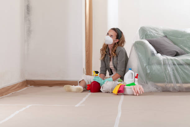 Reliable Basement Mold Remediation contractor in Grand Haven, MI by Mold Remediation HQ